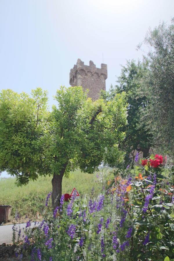 Casa Costa Delle Caserme Montalcino Extérieur photo